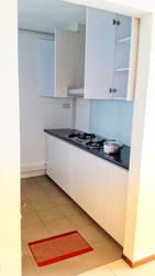 Blk 1C The Pinnacle@Duxton (Bukit Merah), HDB 5 Rooms #161330752